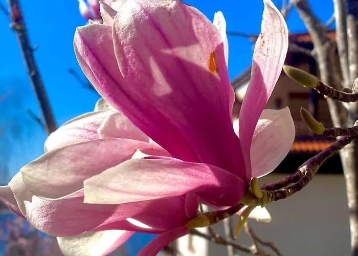 Aj 2, Santa Marina Village, Апартамент *